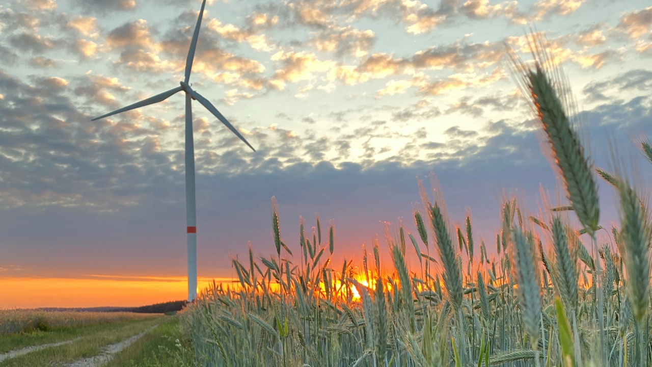 Qualitas Energy erwirbt 36 MW Windpark Projekt