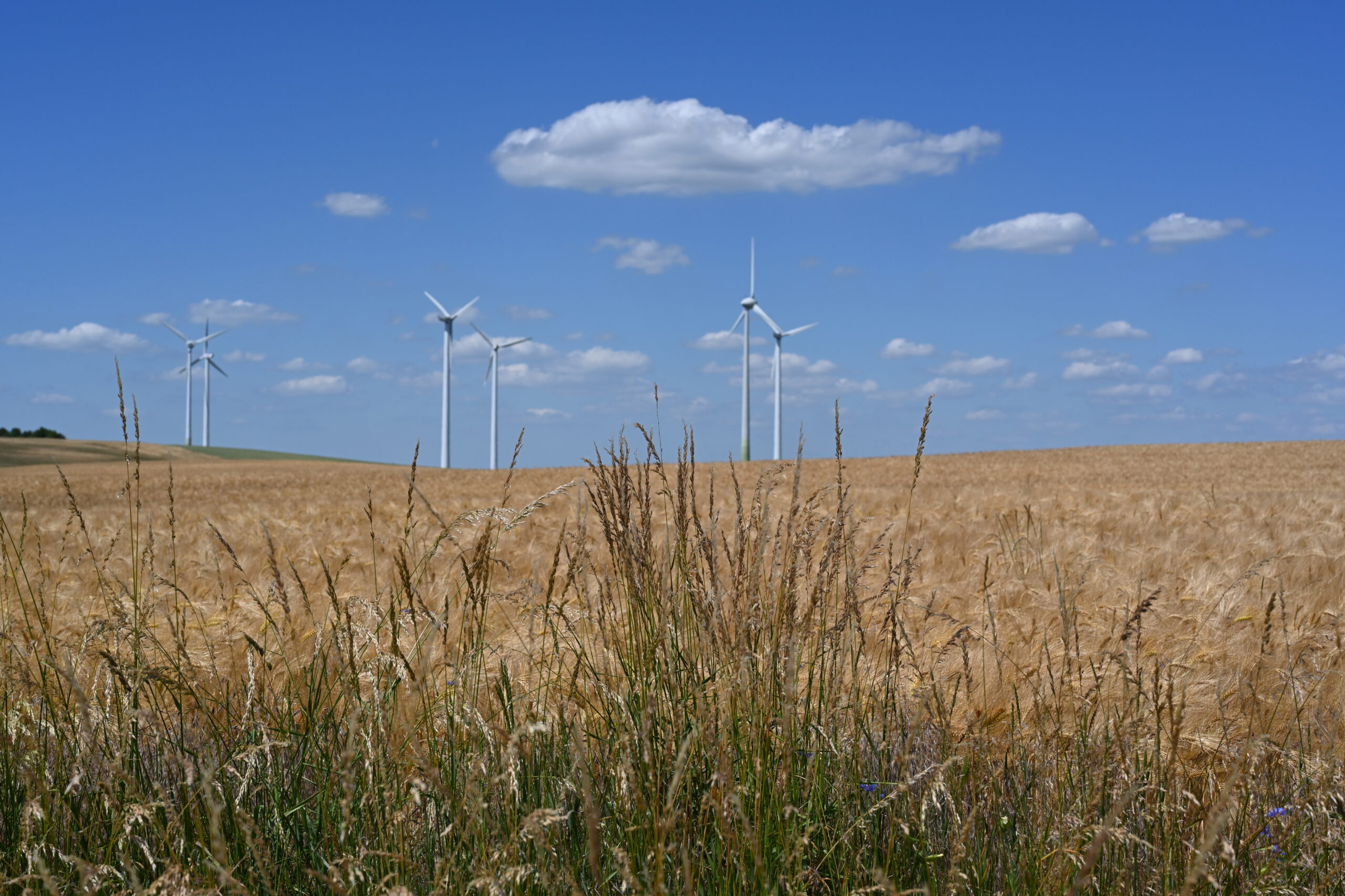Qualitas Energy erwirbt Windenergie Projektrechte mit Gesamtkapazitat von 567 MW scaled