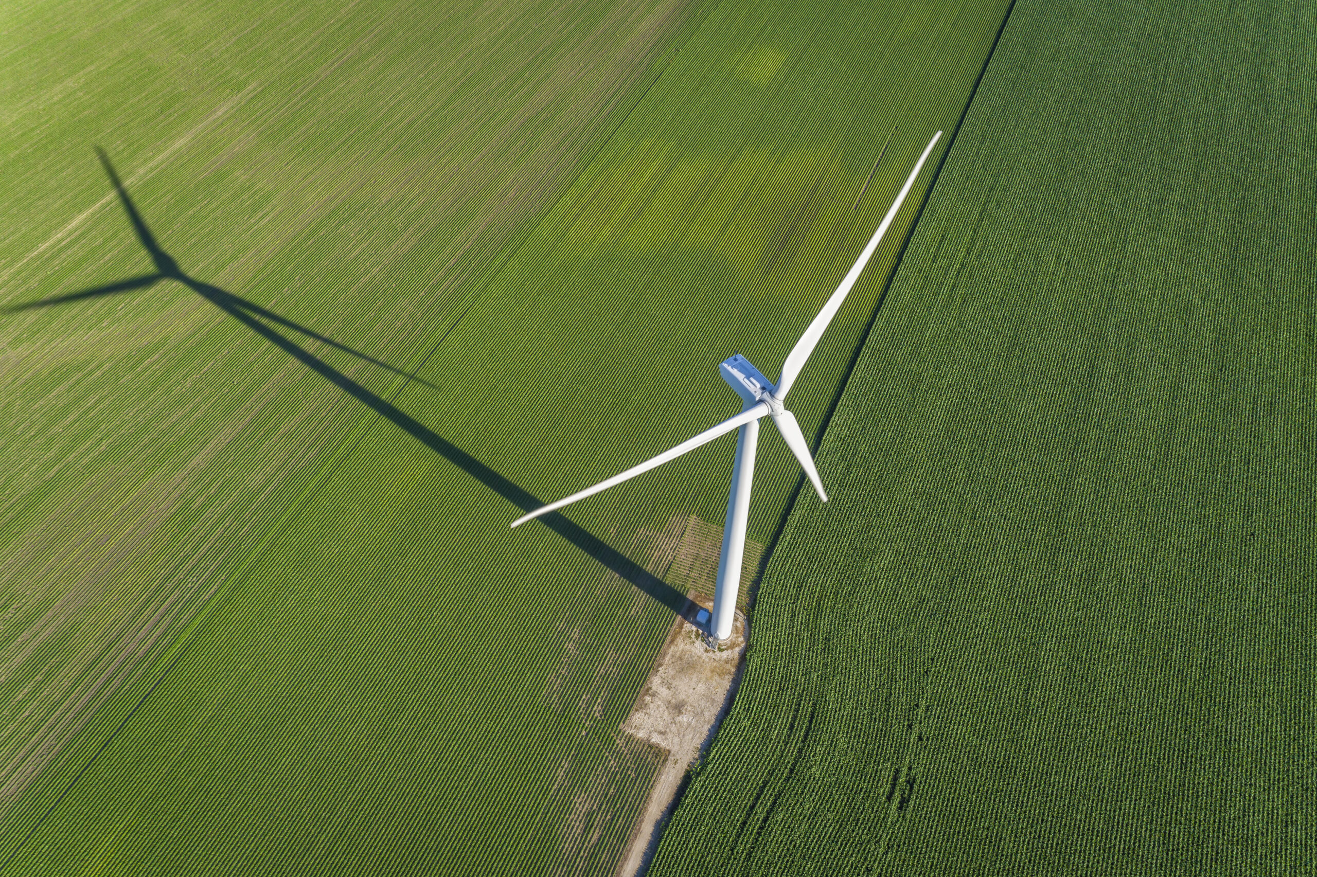 Qualitas Energy starts construction at Salingen wind farm after successful project development scaled