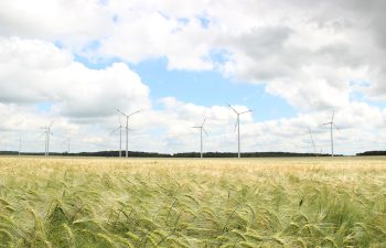 Qualitas-Energy-sichert-sich-Mehrheitsbeteiligung-fur-das-Windprojekt-Niemegk